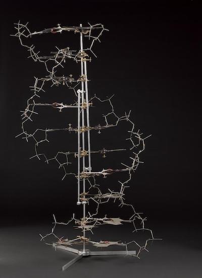 DNA tin model
